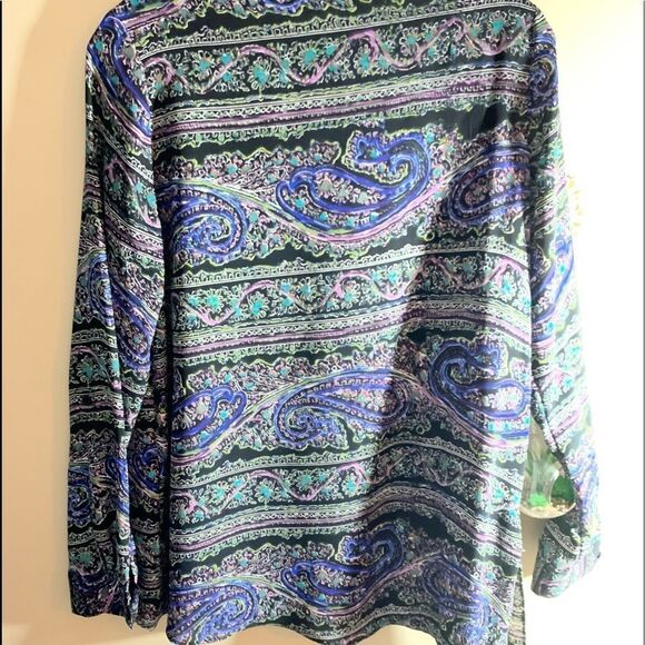 The Limited Blouse - Picture 2 of 4